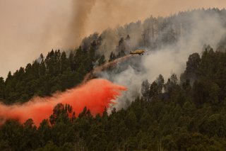 Le feu se propage depuis plusieurs jours.